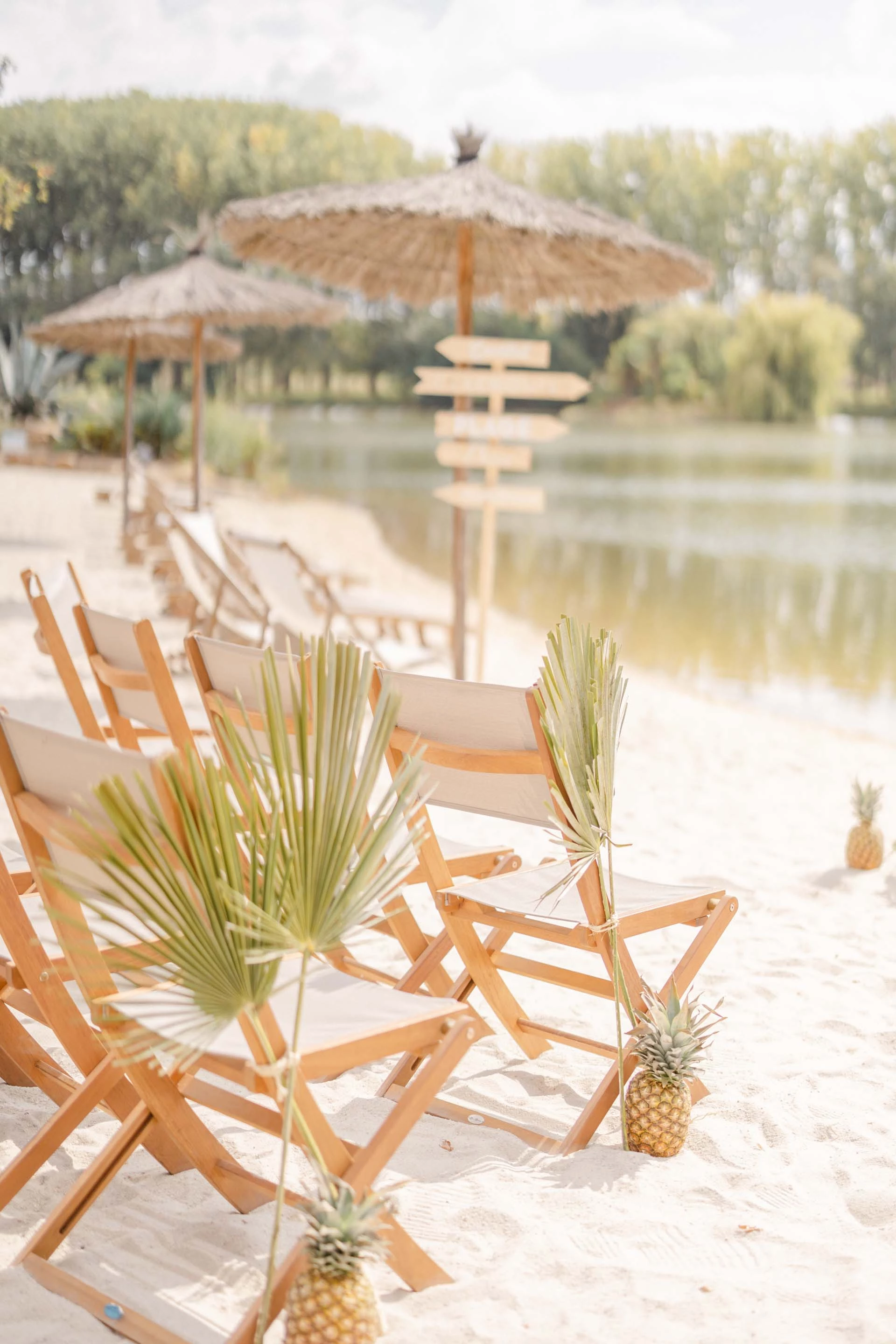 chaise plage sable palmiers marron